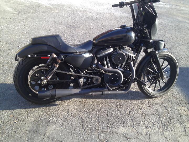 Barra de protección BUNG KING Highway Peg - Sportster