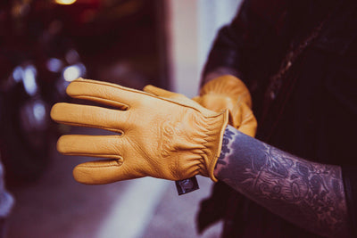 Gloves